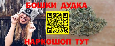 мдпв Пушкино