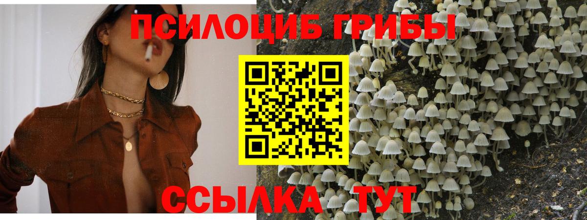 Галлюциногенные грибы мицелий  Вход с VPN  Чехов 